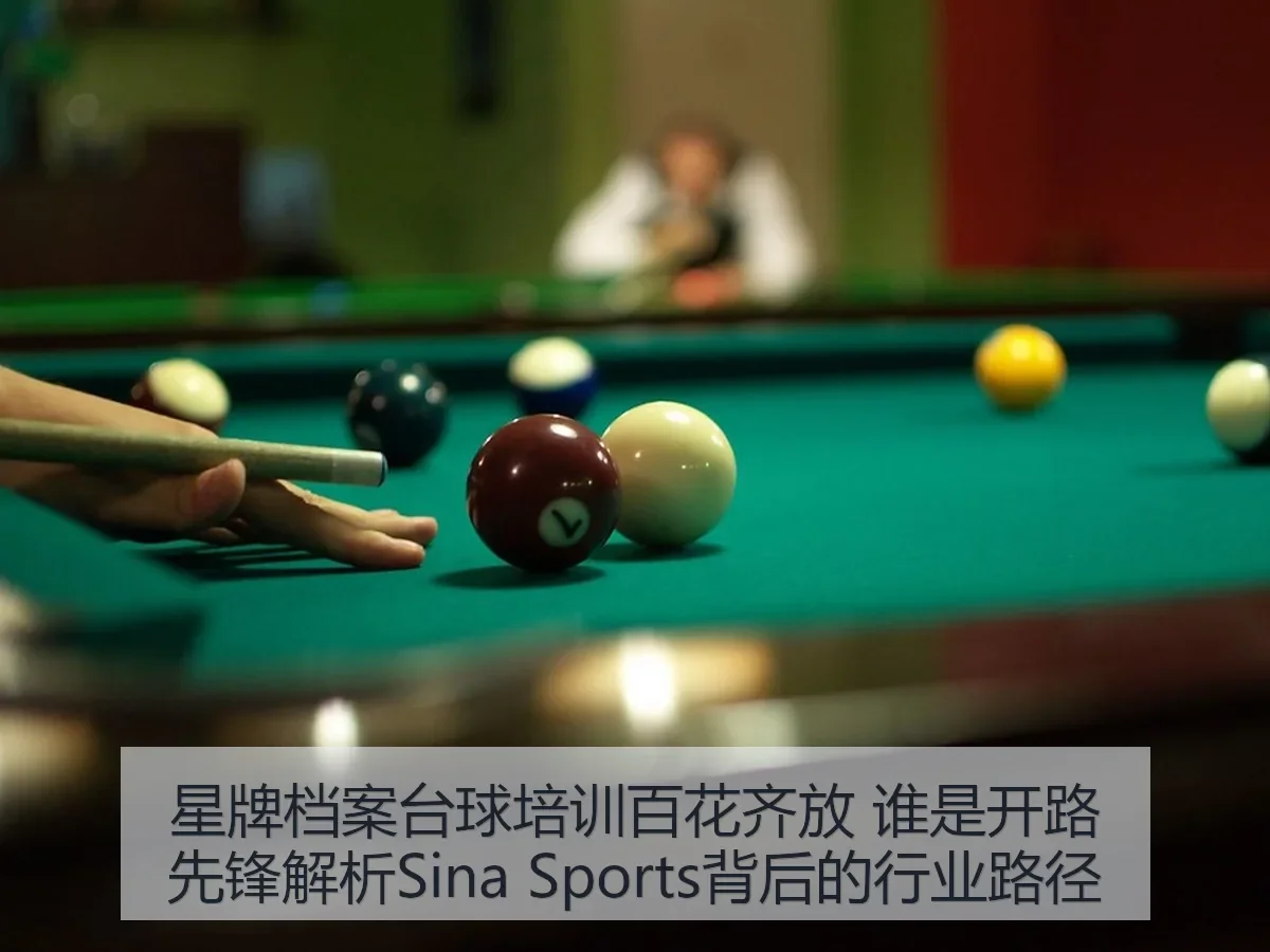 星牌档案台球培训百花齐放 谁是开路先锋解析背后的行业路径
